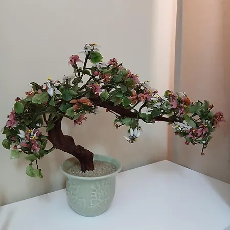 Nik's Cozy * Berat
